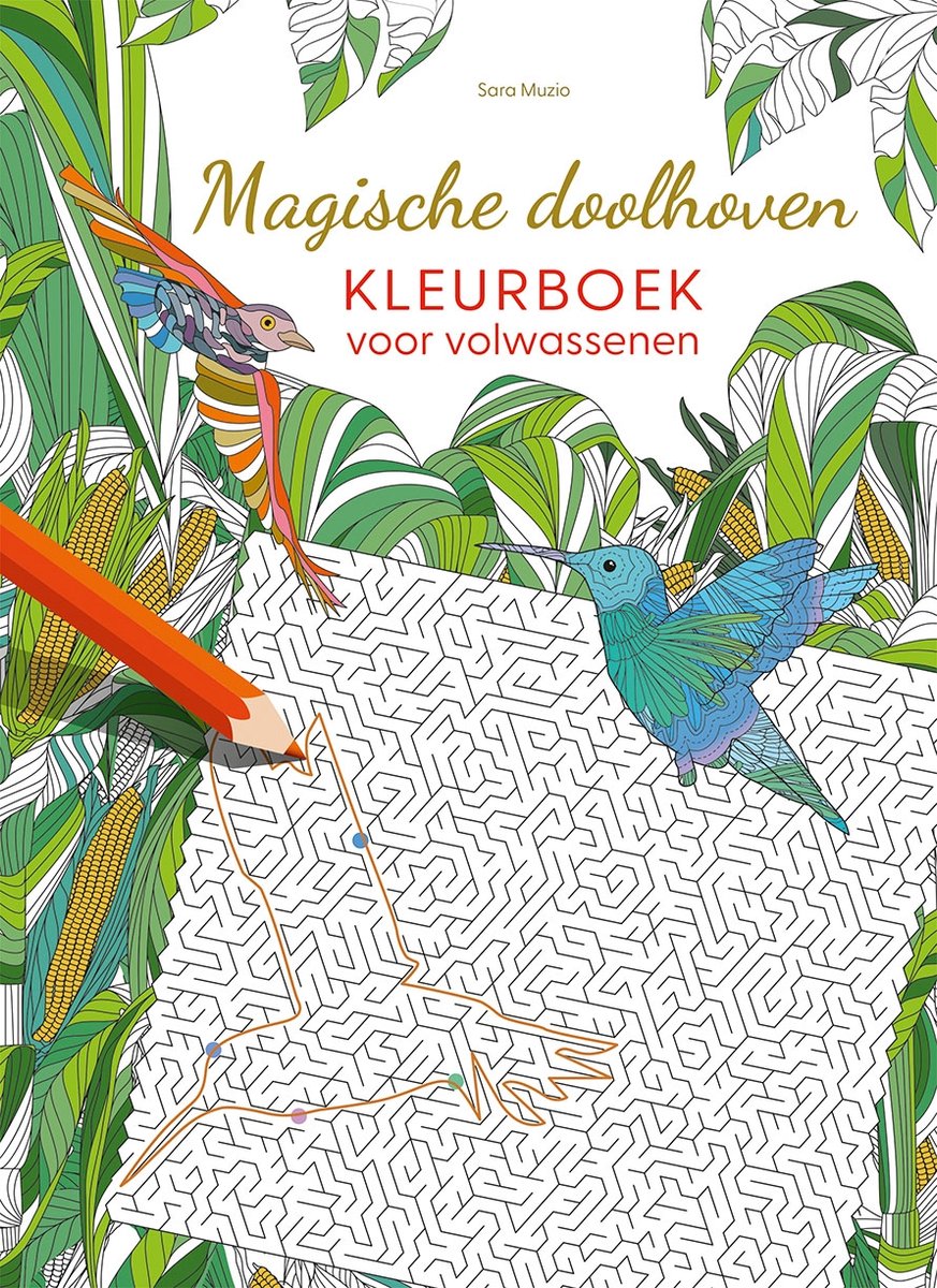 Libro para colorear para adultos Laberintos mágicos de Deltas