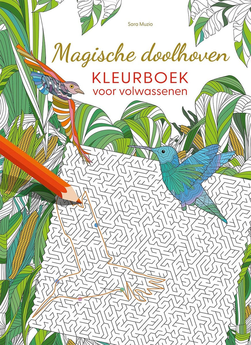 Libro da colorare per adulti dei labirinti magici di Delta