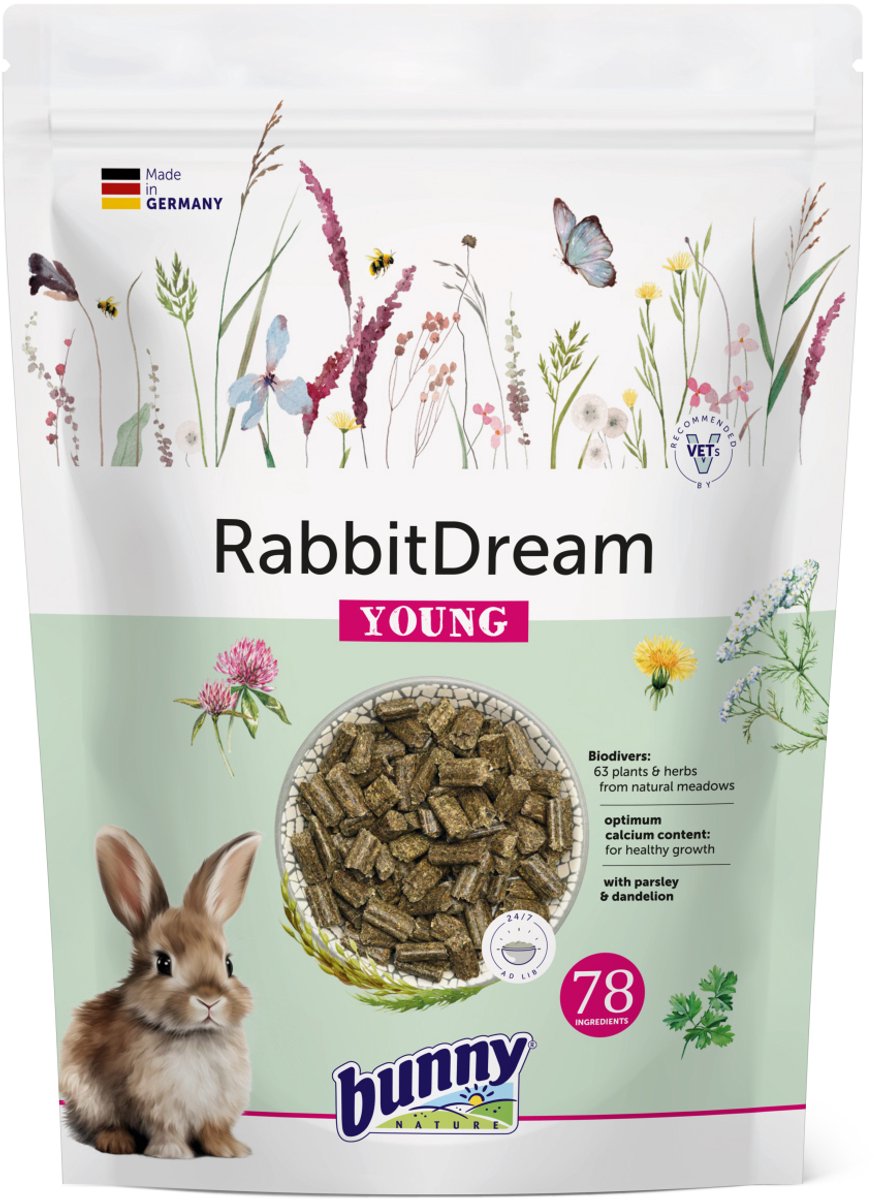 Conejito Naturaleza Rabbit Dream Young