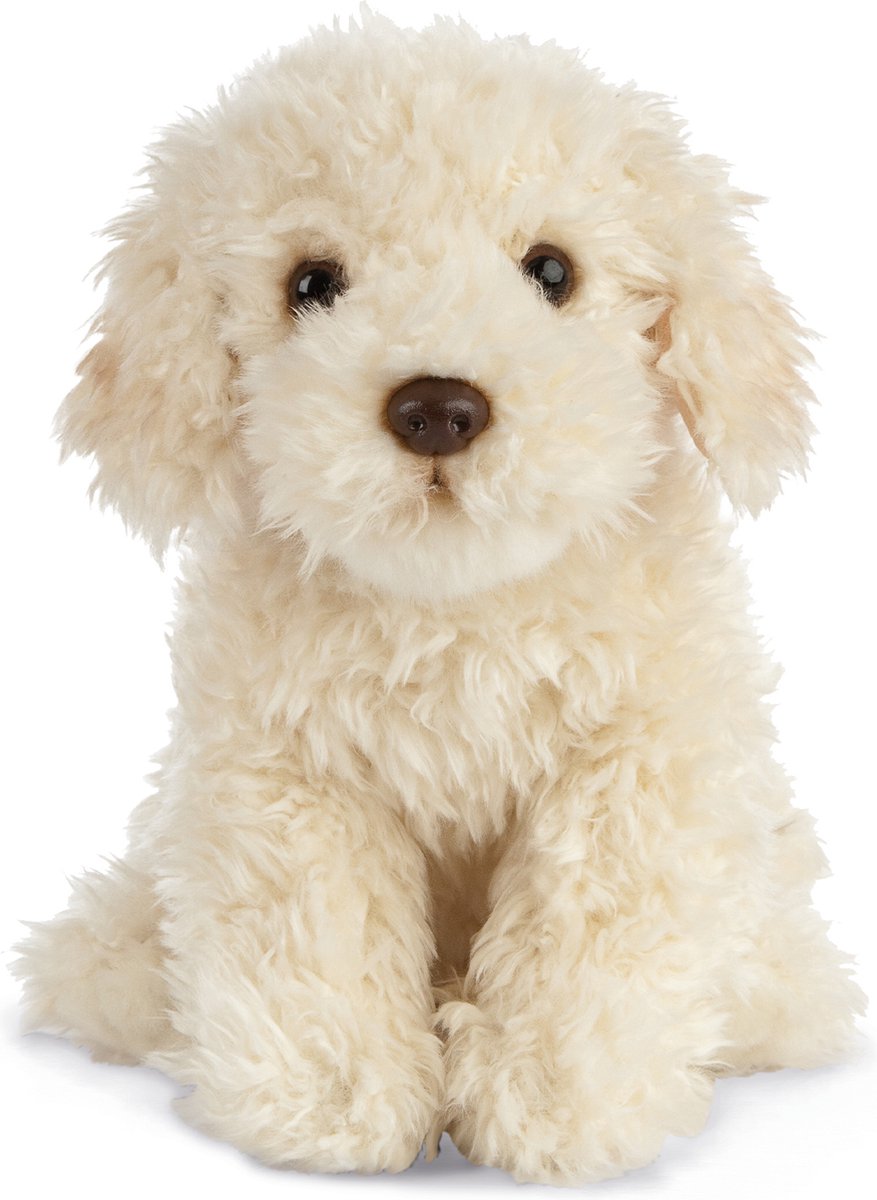 Peluche Living Nature Labradoodle - 25 cm - Peluche - Perros - Beige - Juguetes
