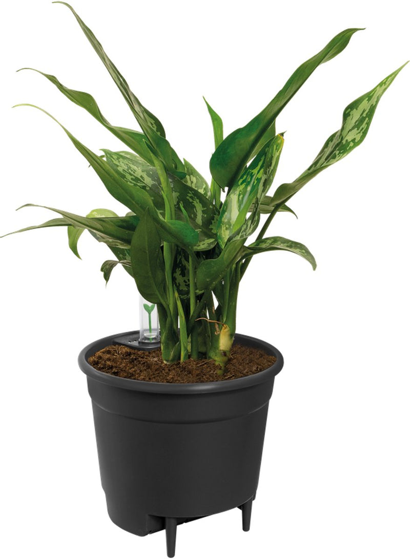 Elho inserto autoirrigante 17 - vaso interno con contatore dell'acqua - ø 17,0 x h 15,8 cm - living black