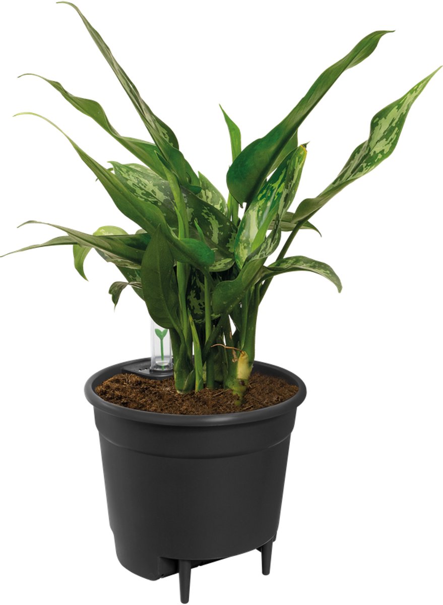 Elho self-watering insert 17 - binnenpot met watermeter - ø 17.0 x h 15.8 cm - living black