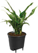 Elho self-watering insert 17 - binnenpot met watermeter - ø 17.0 x h 15.8 cm - living black