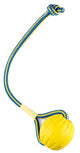 Starmark Swing 'n Fing Durafoam buscar pelota en el cordón