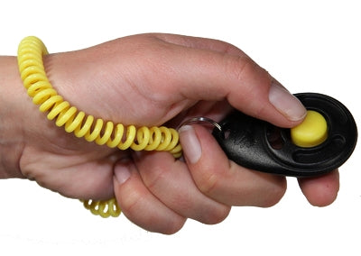 Starmark Clicker de Luxe per l'allenamento