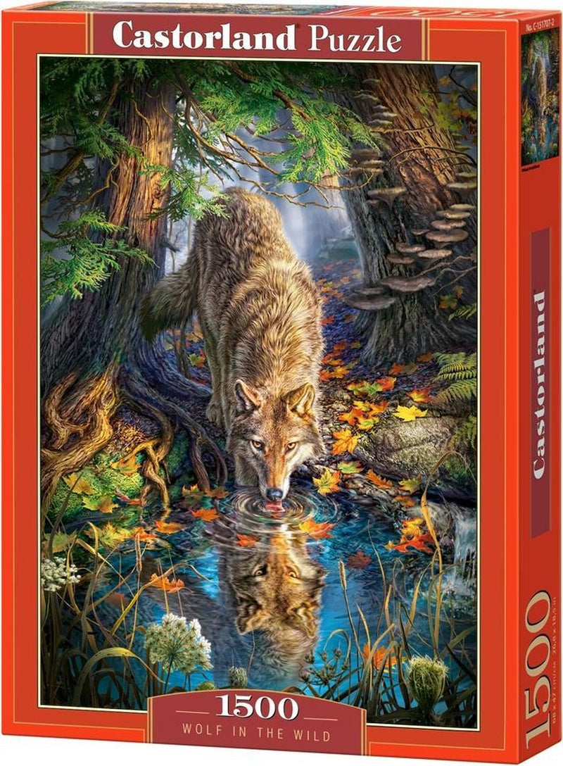 SelectA Castorland gioca a puzzle Wolf in the Wild, 1500st.