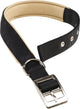 Collare per cani Ferplast daytona 43 x 2 cm acciaio nylon nero