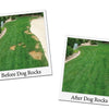 Dog Rocks Rocce per cani