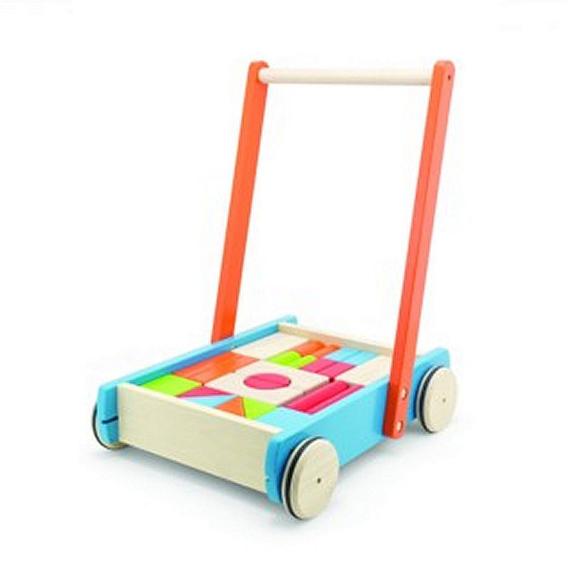 Pintoy Pintoy Baby Push Auto con blocchi