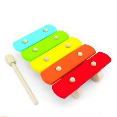 Pintoy Pintoy Basic xylofono luminoso