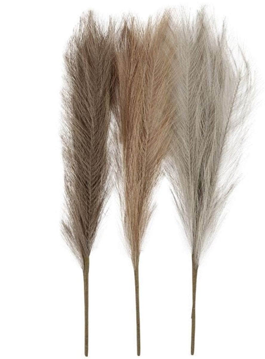 Creativ Company Pampasgras Beige Brown Gray, 3st.