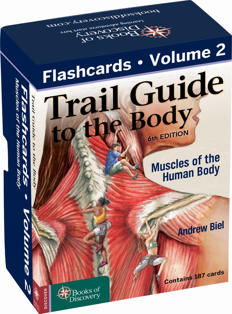 Guida al percorso delle flashcard del corpo volume 2