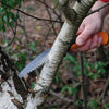 Sega a mano Fiskars Xtract Sega a mano Xtract con dentatura grossolana