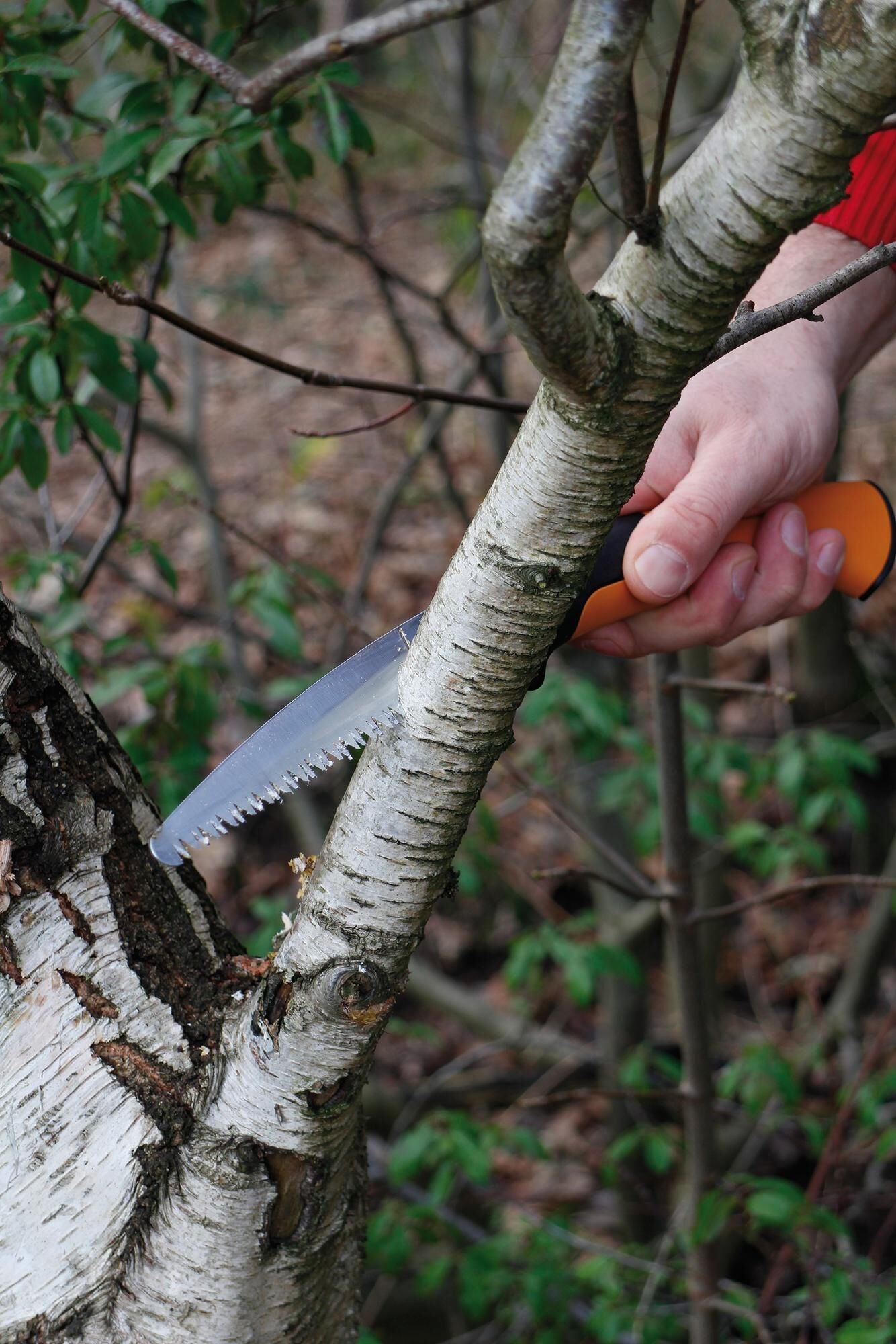 Sega a mano Fiskars Xtract Sega a mano Xtract con dentatura grossa e grossolana