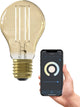 Calex slimme lamp - wifi led filament verlichting - e27 - smart bulb goud- dimbaar - warm wit licht - 7w