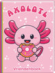 Libro amigos libro ajolote | 2 piezas