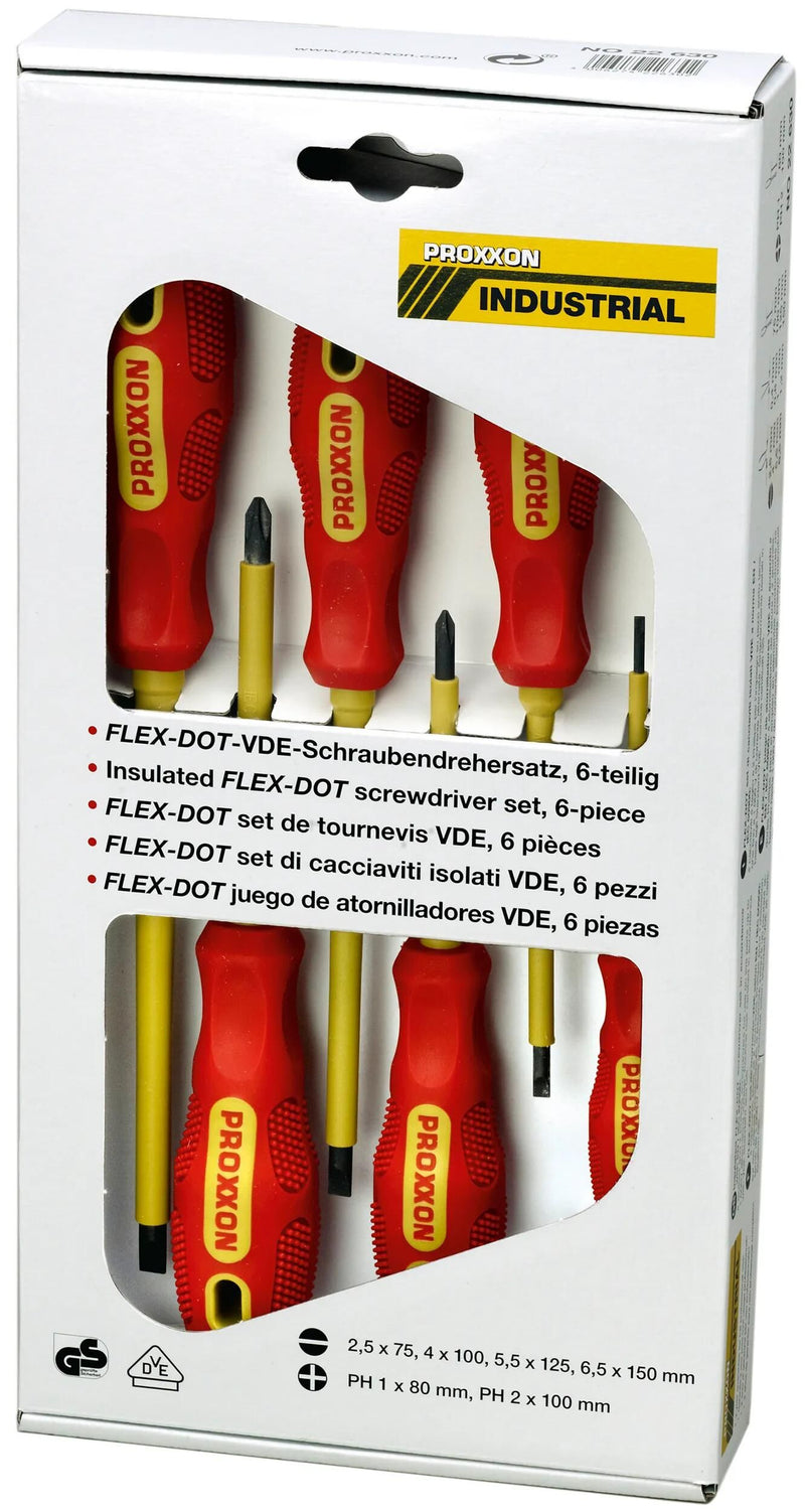 Set di viti VDE Proxxon 6-Pies