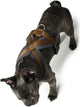 Hunter arnés para perros London confort 48-56 cm marrón talla s m