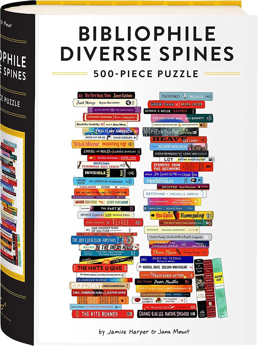 Bibliophile dorsi vari Puzzle da 500 pezzi