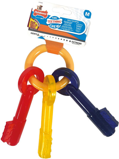 Gust da cucciolo cucciolo di nylabone sapore