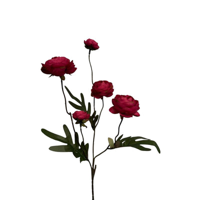 Collezione Roberts fiore artificiale ranuncolo rosso bordeaux 52 cm