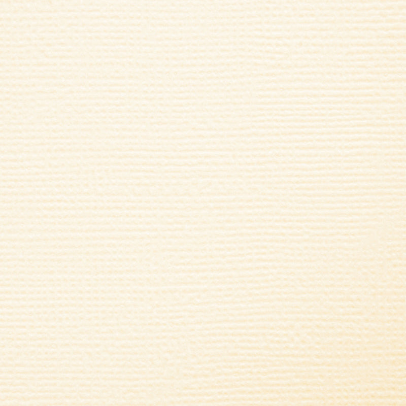 Craft perfect by tonic studios craft perfect • klassieke kaart a4 10pcs ivory white