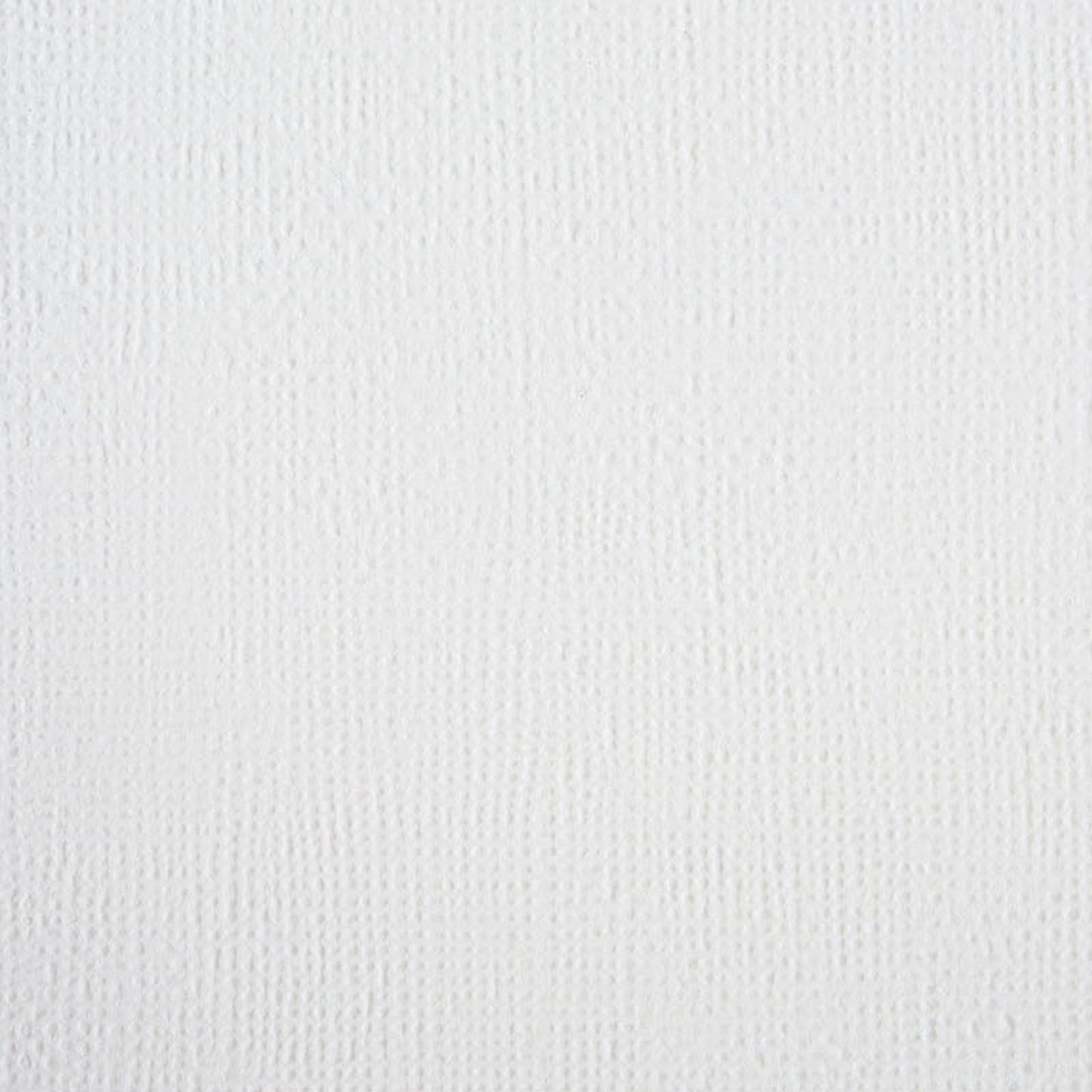 Craft Perfect di Tonic Studios Craft Perfect • cartoncino classico A4 10 pezzi bianco brillante