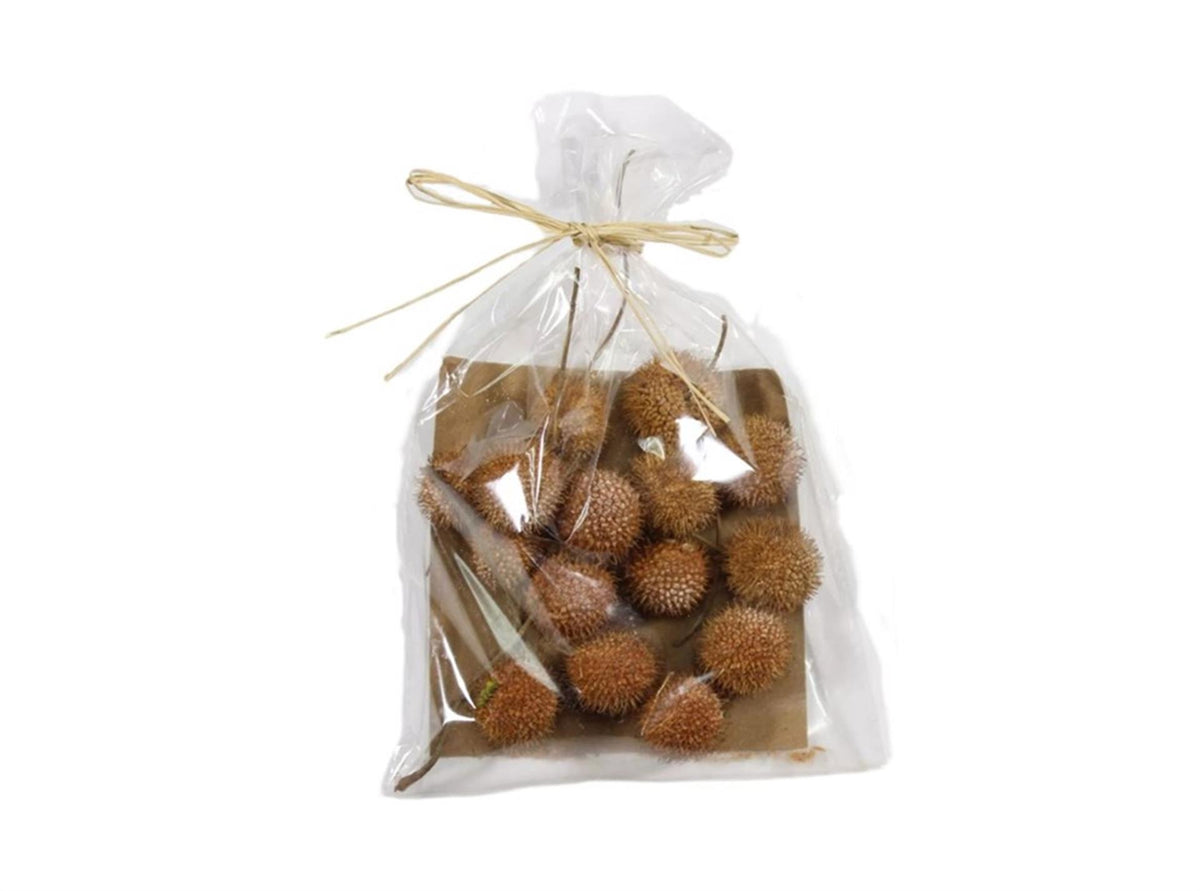 HBx natural living decoration set plane tree fruit 50gr