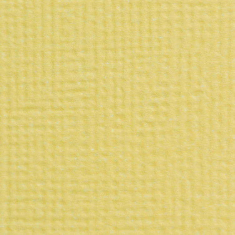 Craft perfect by tonic studios craft perfect • klassieke kaart a4 10 vellen buttermilk yellow