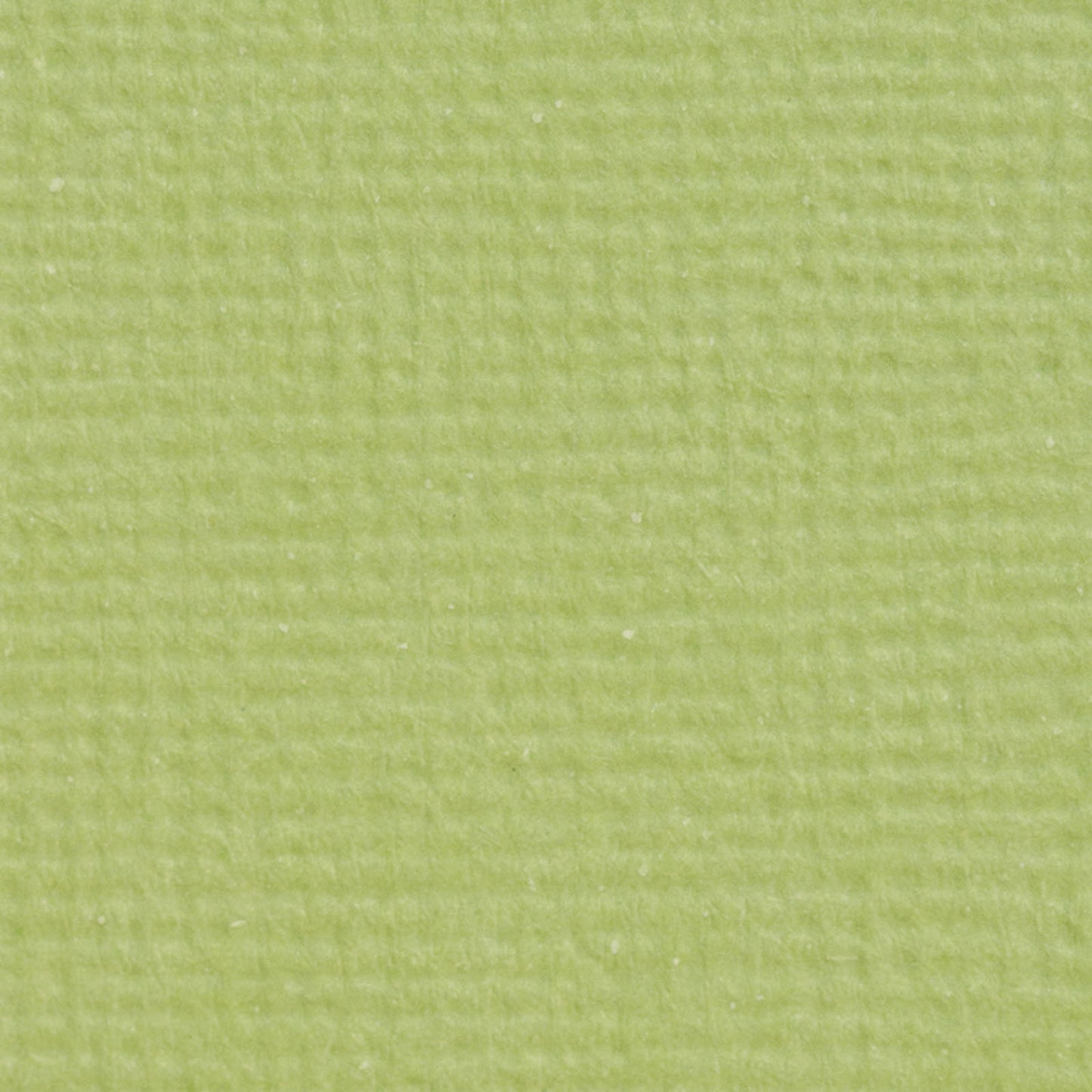 Craft Perfect di Tonic Studios Craft Perfect • cartoncino classico A4 10 pezzi verde pistacchio