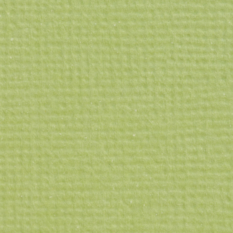 Craft Perfect di Tonic Studios Craft Perfect • cartoncino classico A4 10 pezzi verde pistacchio