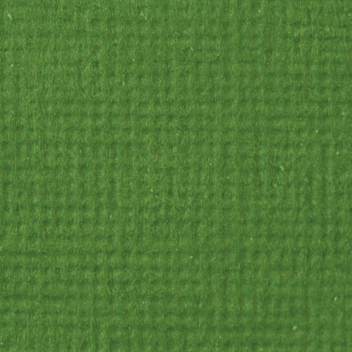 Craft Perfect di Tonic Studios Craft Perfect • biglietto classico A4 10 fogli verde felce
