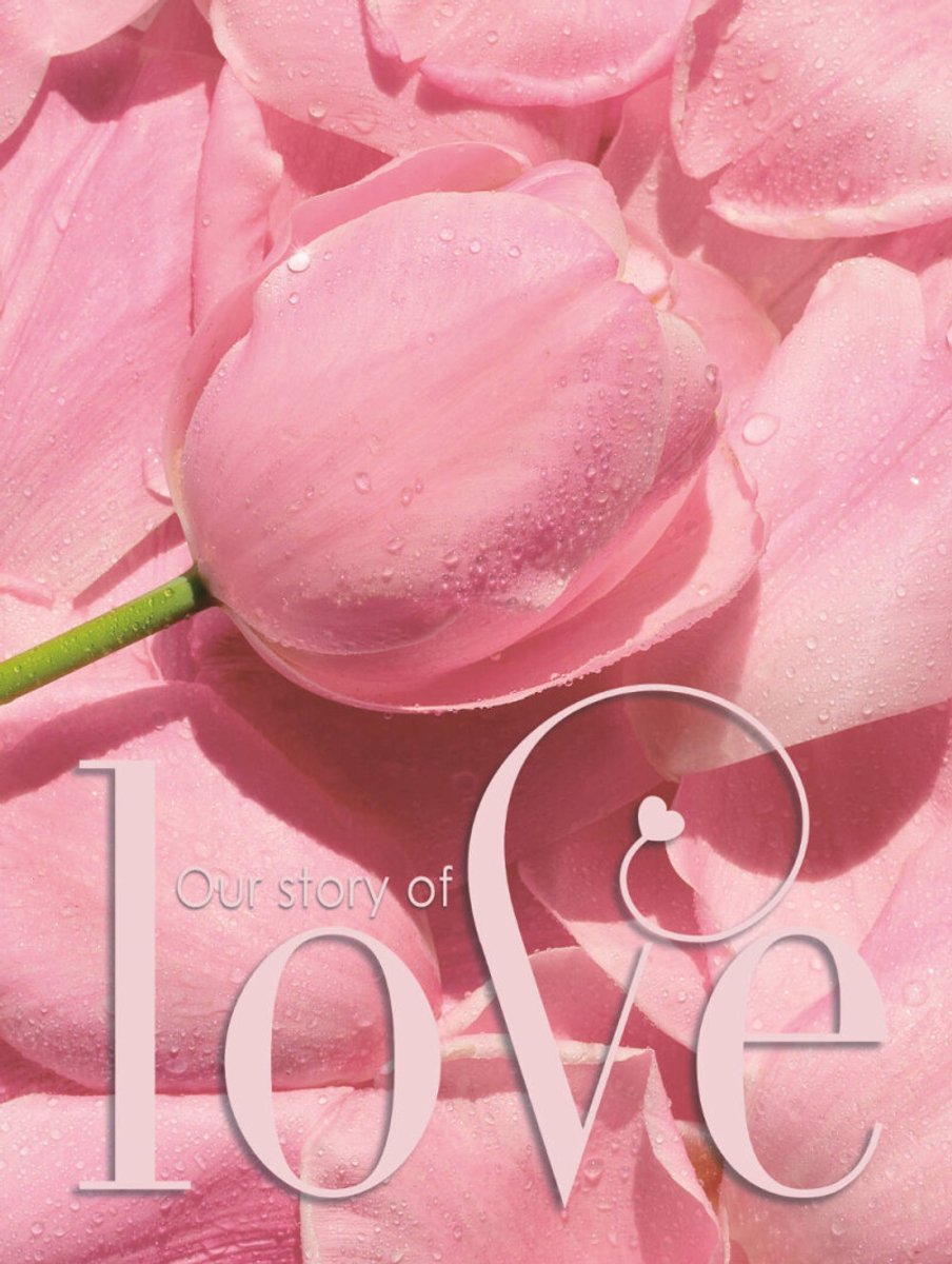 Libro degli ospiti matrimonio amore lusso con copertina rigida per 250 invitati