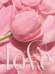 Libro degli ospiti matrimonio amore lusso con copertina rigida per 250 invitati