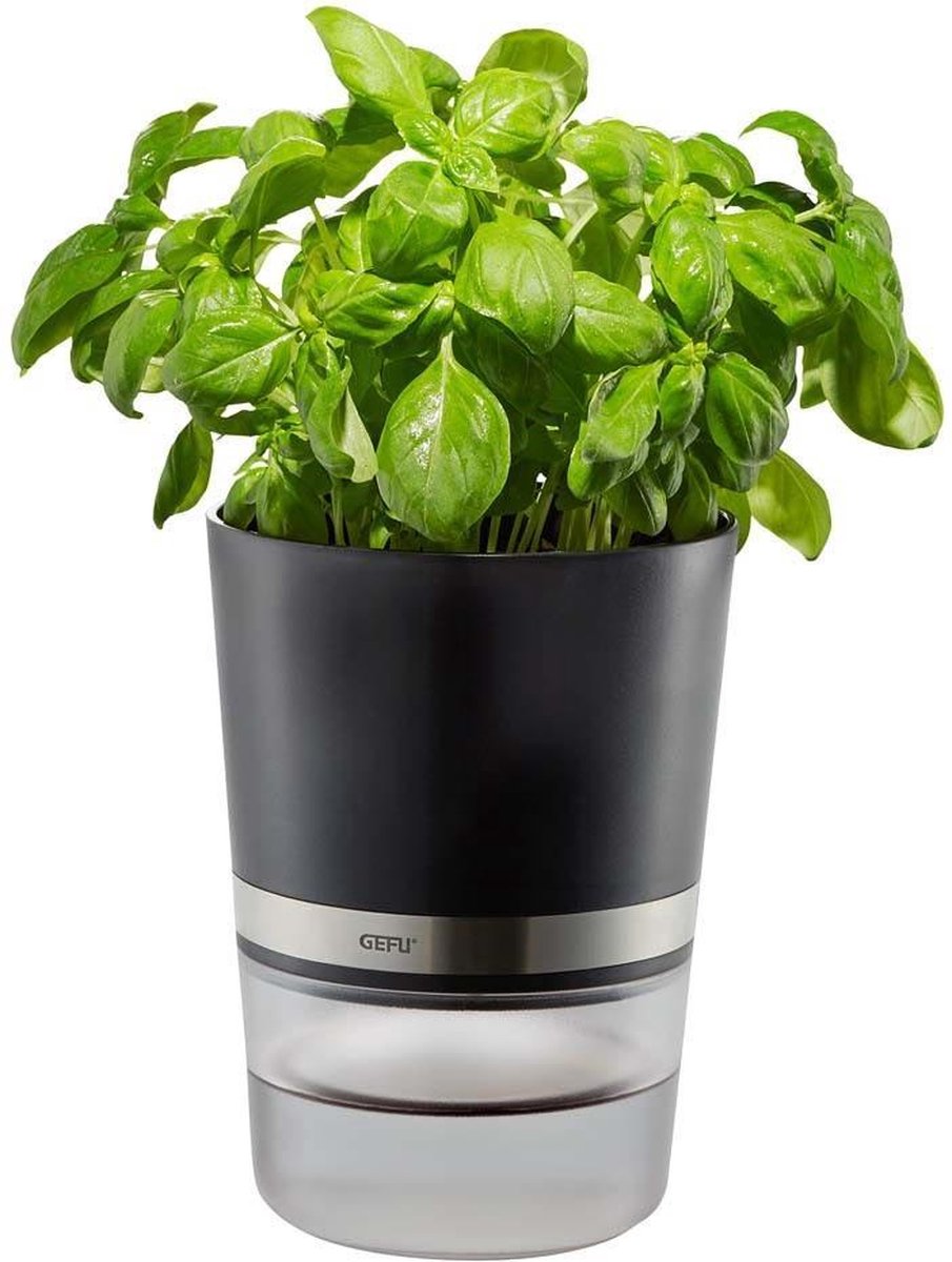 Macetero para hierbas Gefu botanico - macetero con riego automático - con depósito de agua