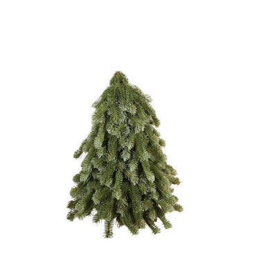 Albero artificiale nobilis verde collezione Roberts 50 cm