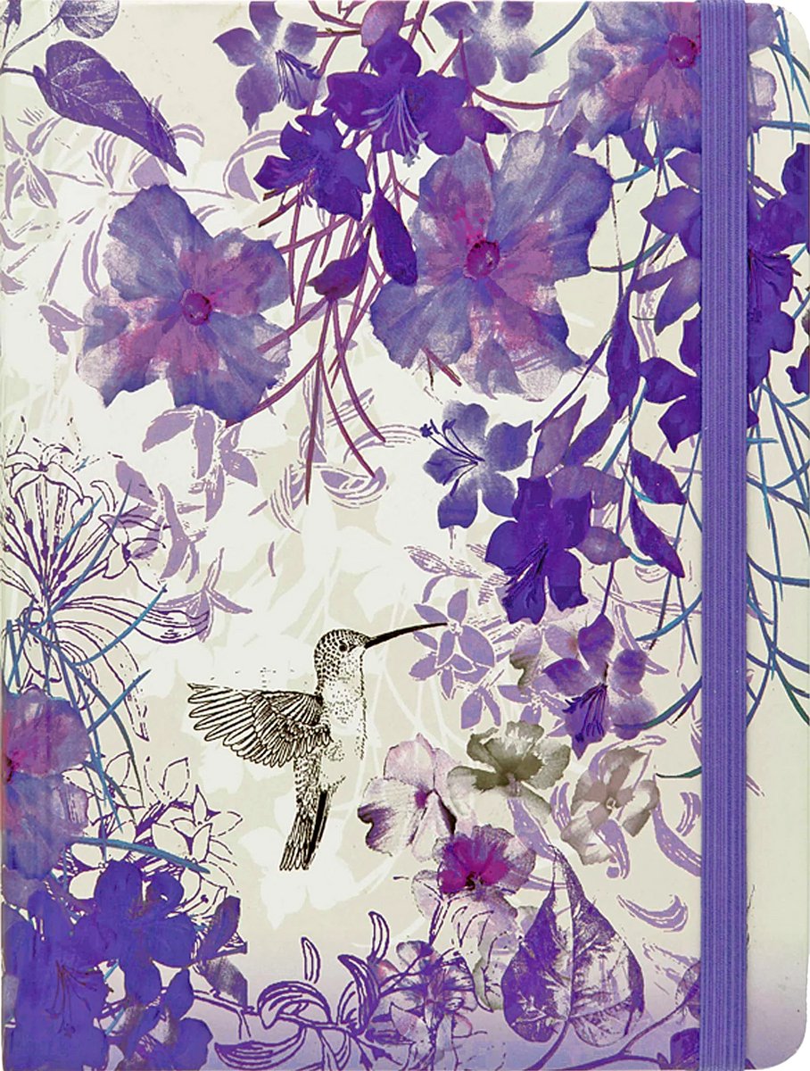 Libreta mediana Peter Pauper - Colibrí - Con cierre elástico - 16x21 cm