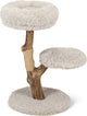 Designed by Lotte Tiragraffi per gatti Zora - tiragraffi - legno - 2 posti - grigio - 50x50x72 cm