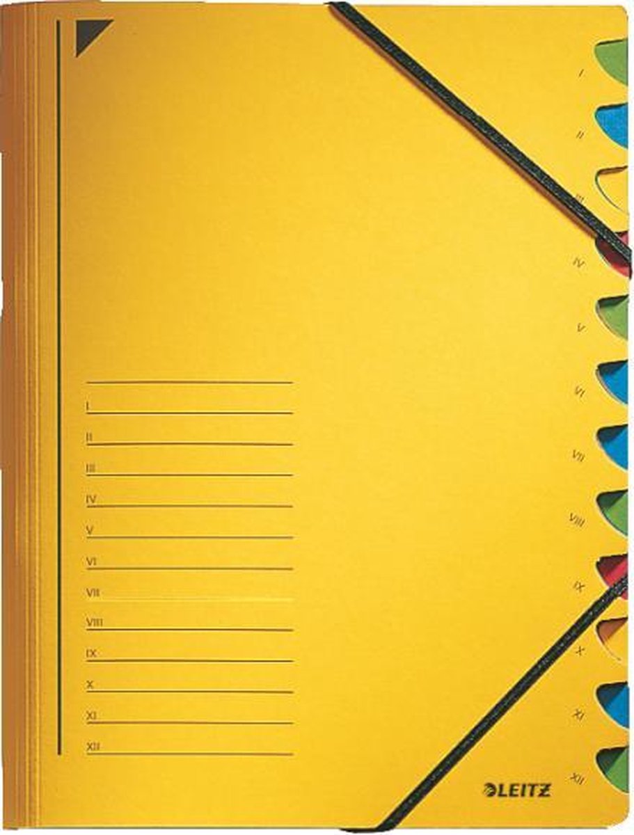 Cartella di smistamento Leitz in cartone giallo A4