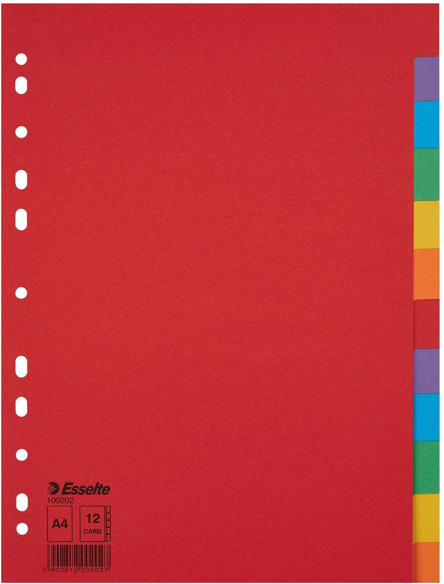 Esselte schede economy a4 12pz cartone 11r ass | 10 pezzi