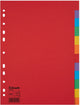 Esselte schede economy a4 12pz cartone 11r ass | 10 pezzi