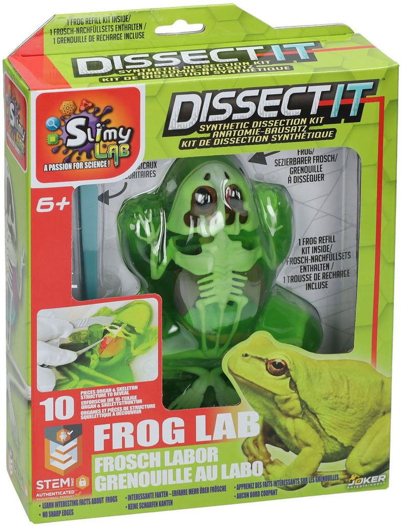 Disección de laboratorio viscoso: disecciona una rana