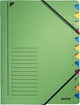 Carpeta clasificadora Leitz cartón verde A4