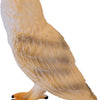 Mojo Wildlife Kerkuil 381054