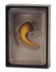 Collecta figurine gift set - baryonyx klauw