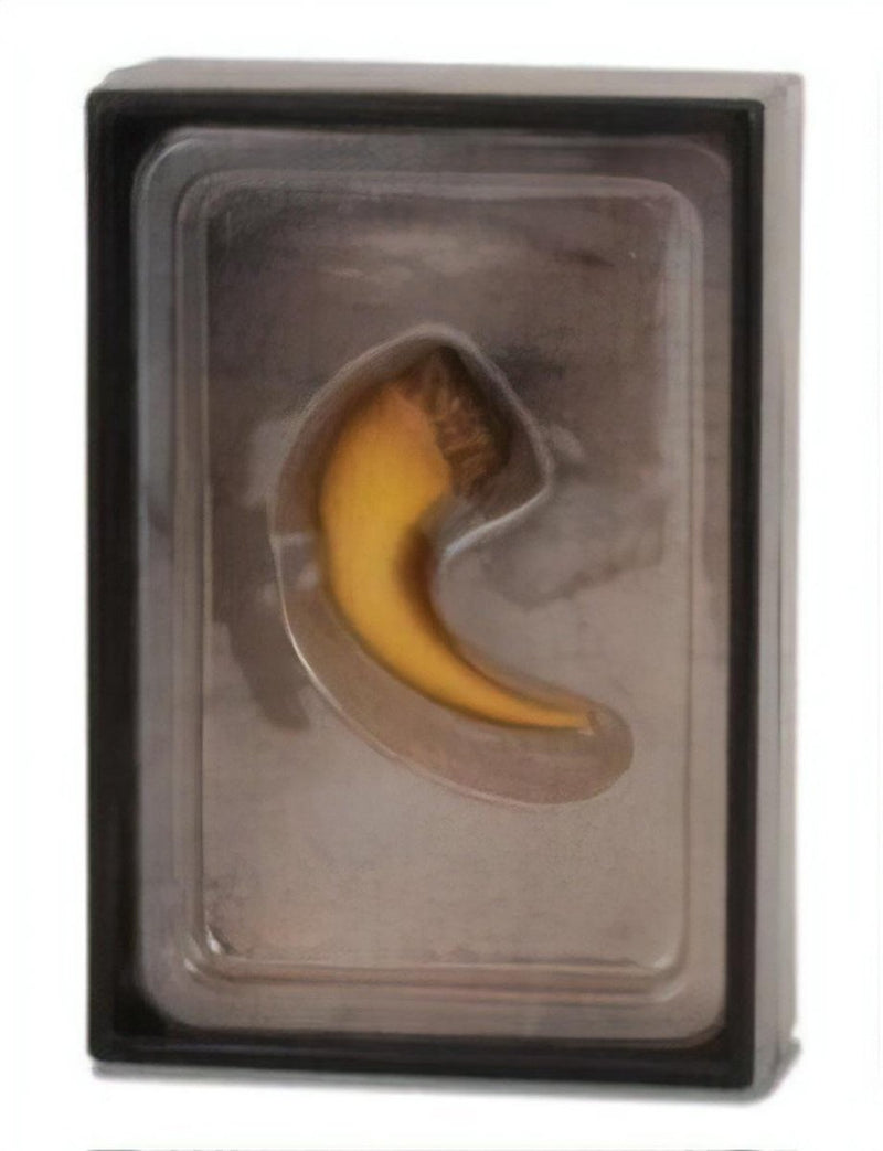 Set regalo di figurine Collecta - artiglio di barionice
