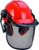 Casco di sicurezza Einhell - distanza tra visiera e viso regolabile - visiera ripiegabile - tracolla regolabile e protezione per l'udito