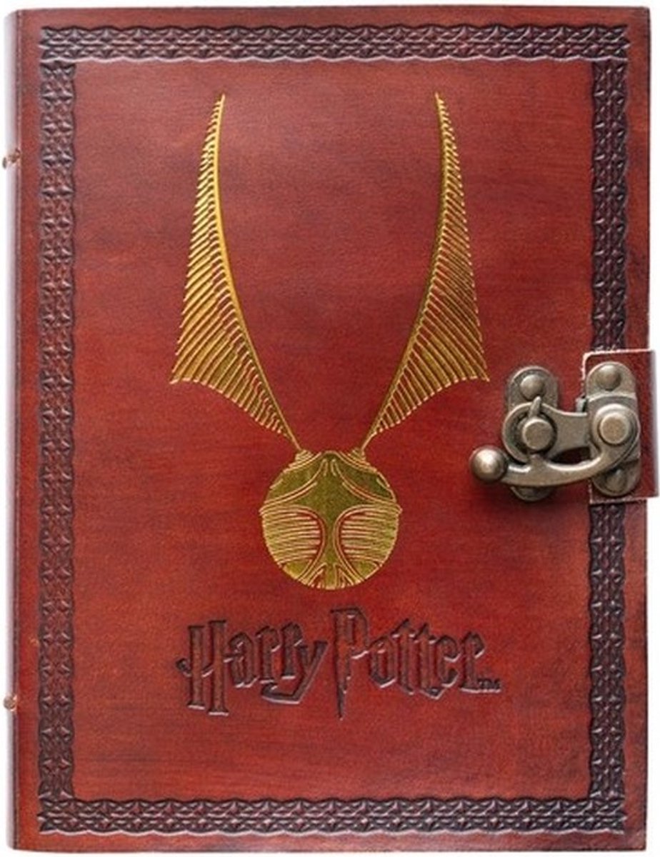 Quaderno A5 del Gruppo Erik Harry Potter in pelle