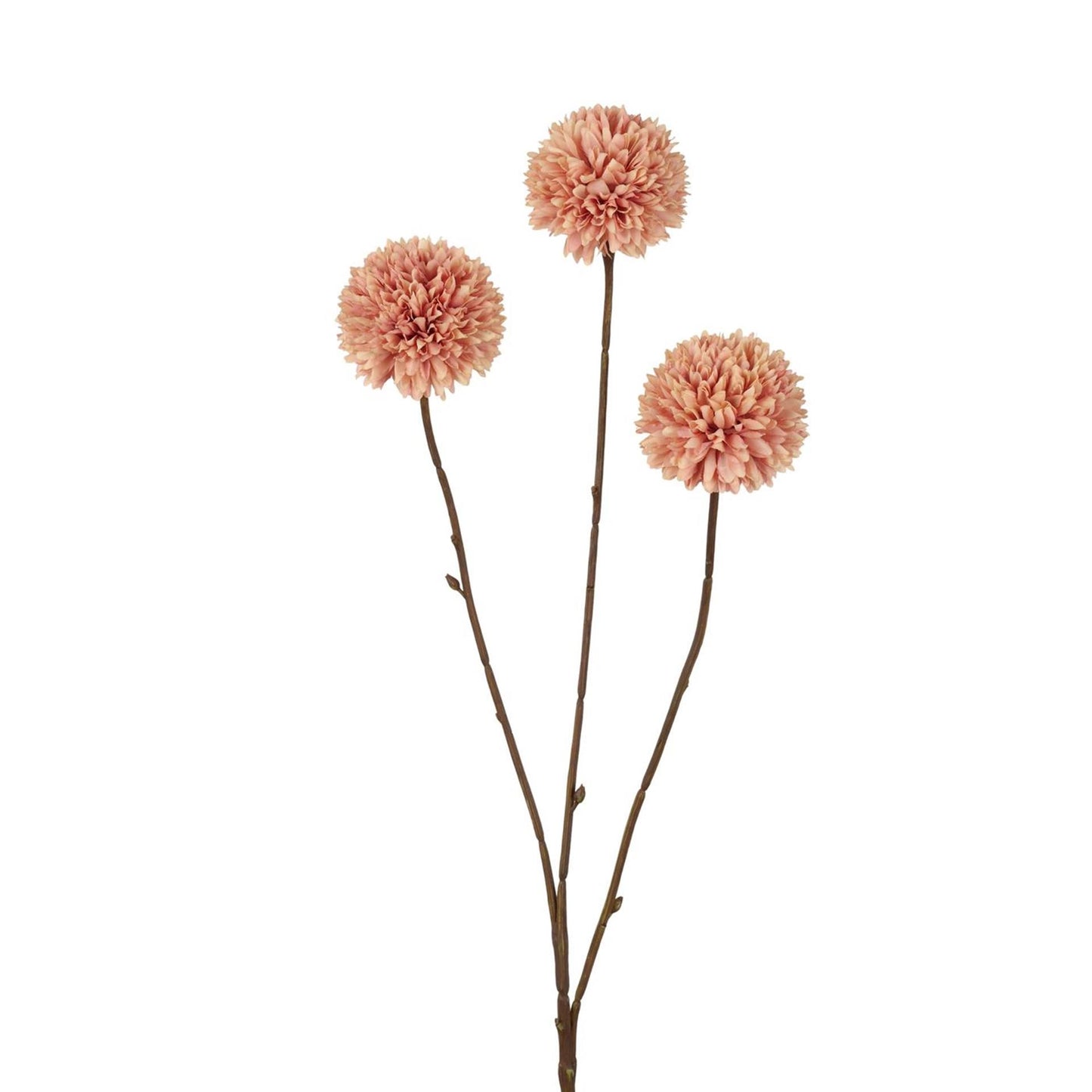 Pompon fiore artificiale collezione Roberts 78 cm champagne