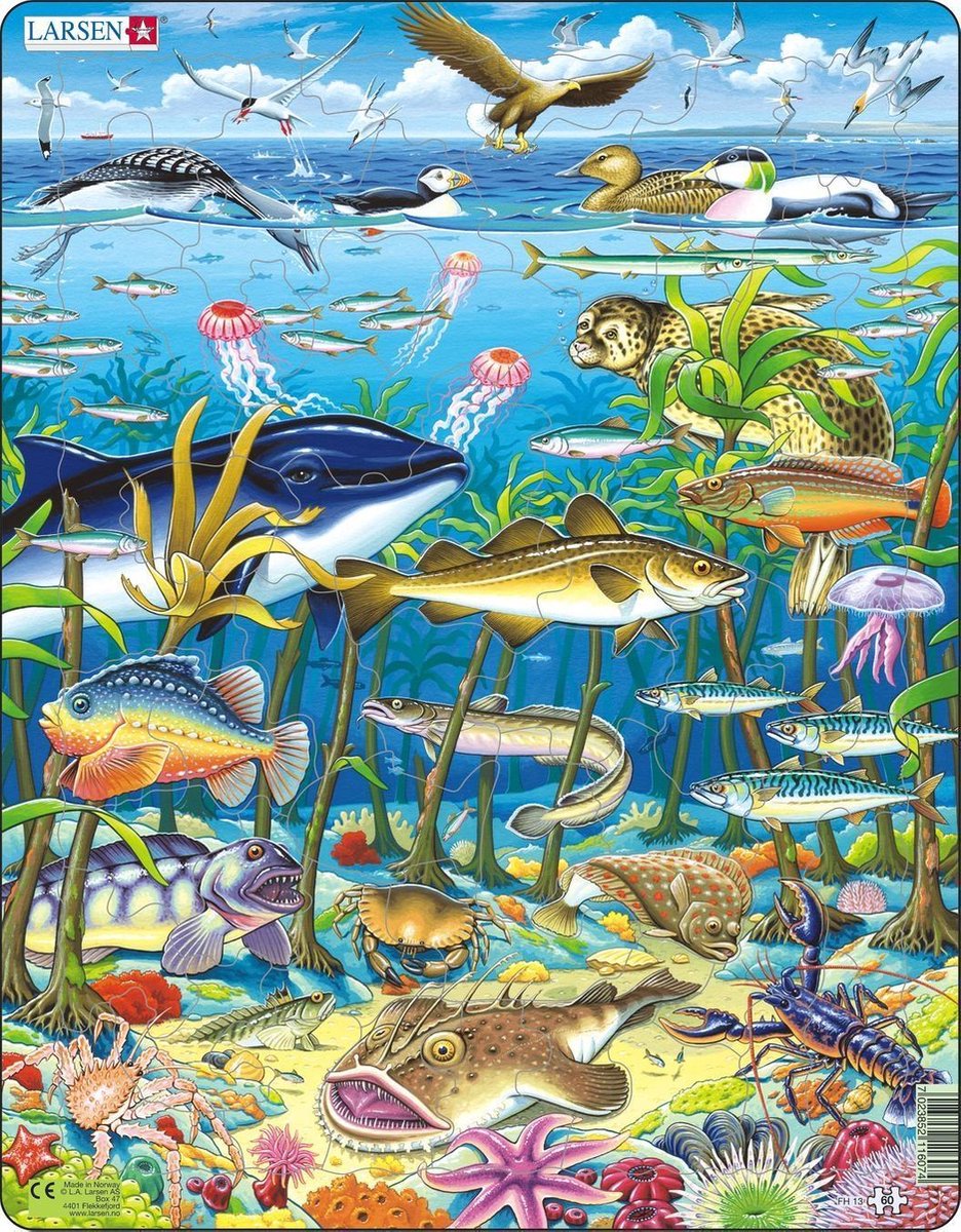 Selecta Larsen Pluzzle Animali - Animali marini nell'Oceano Nord Atlantico, 60 °.